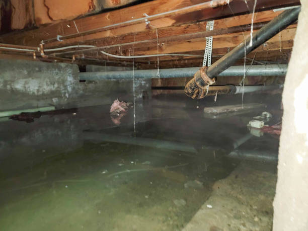 Best Commercial water damage restoration  in Ada, OK