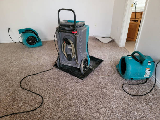  Ada, OK Water damage restoration Pros