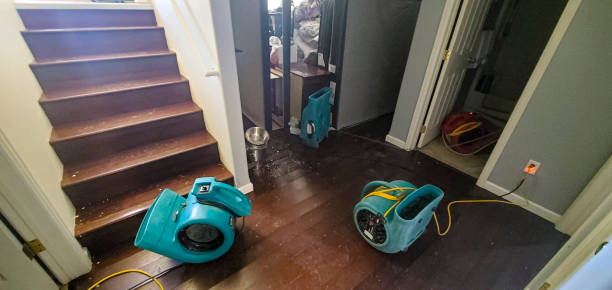 Best Sewage cleanup and water damage restoration  in Ada, OK
