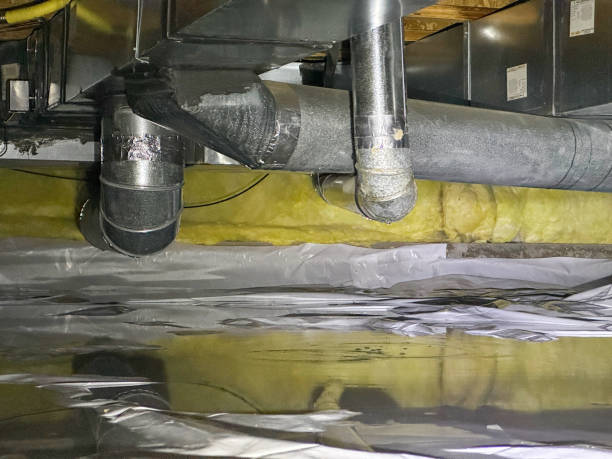 Best Water damage contractors near me  in Ada, OK
