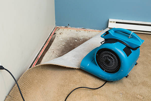 Best Flood damage cleanup  in Ada, OK